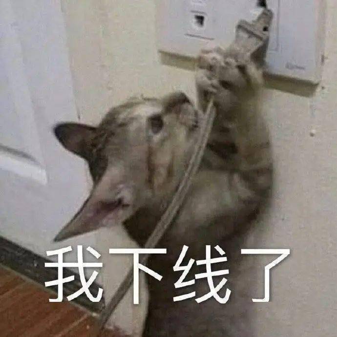 猫片,表情包都吸引不了你了吗?  在看的都不给?