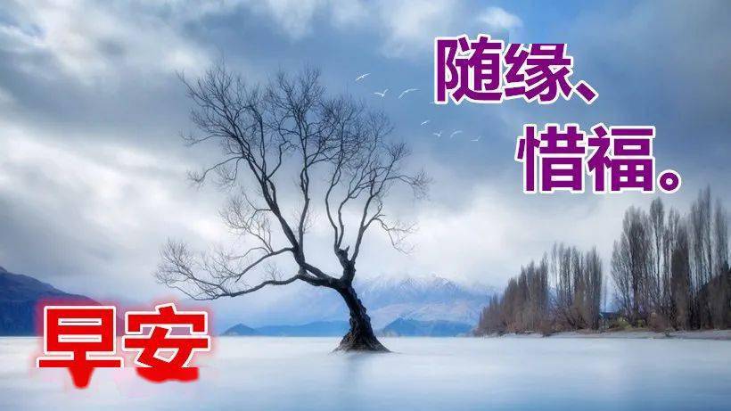 2020早安祝福语图片带字美图动态祝福,早上好的早安祝福语图片