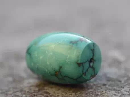 啥是海贝珠 6b141be254734f9db1f37fb1f7e95bb4.jpeg