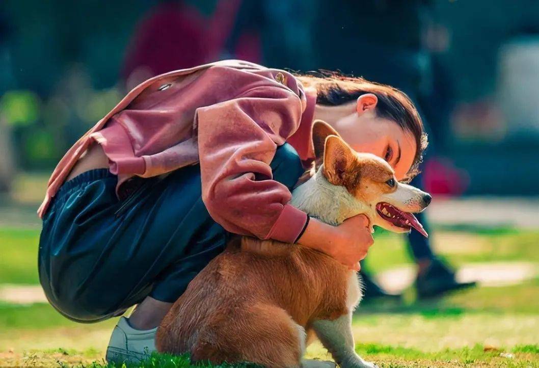 狗为啥喜欢摇尾巴 6bff2c4c3e2c479f9cfc5af97edd2c4b.jpeg