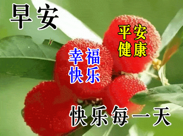 11月12日最漂亮早上好动态表情图片大全,早晨好动图美图大全