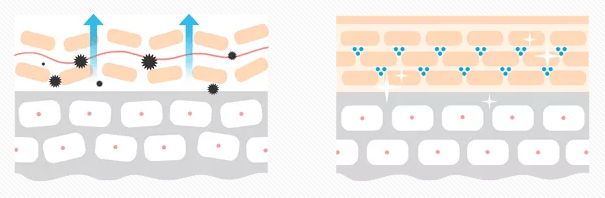 皮肤|一杯奶茶钱就能做的医美，做完立刻后悔！