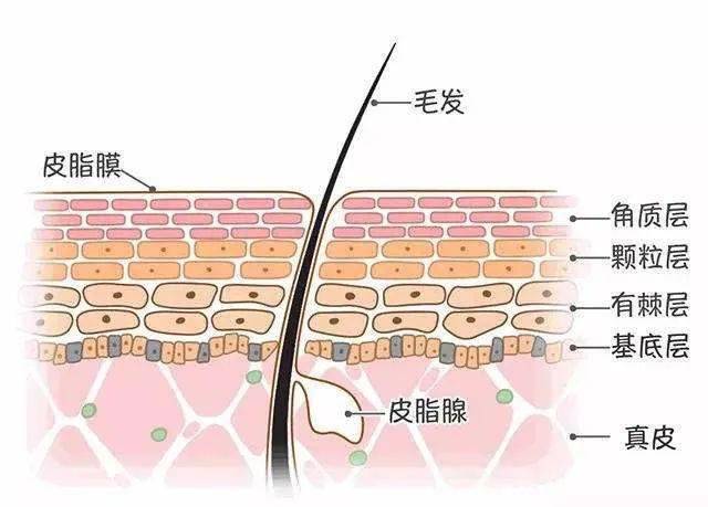 皮肤|一杯奶茶钱就能做的医美，做完立刻后悔！