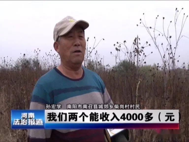 南召县有多少人口