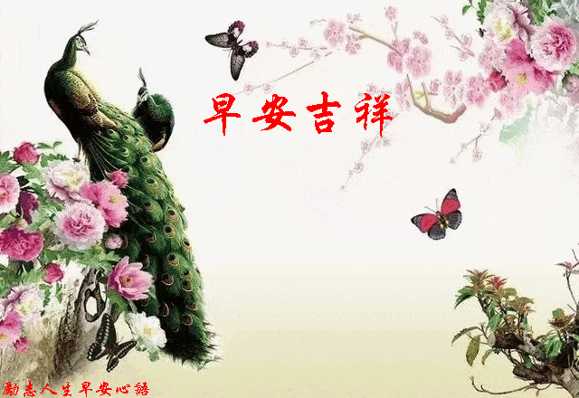 20201112星期四《早安心语》