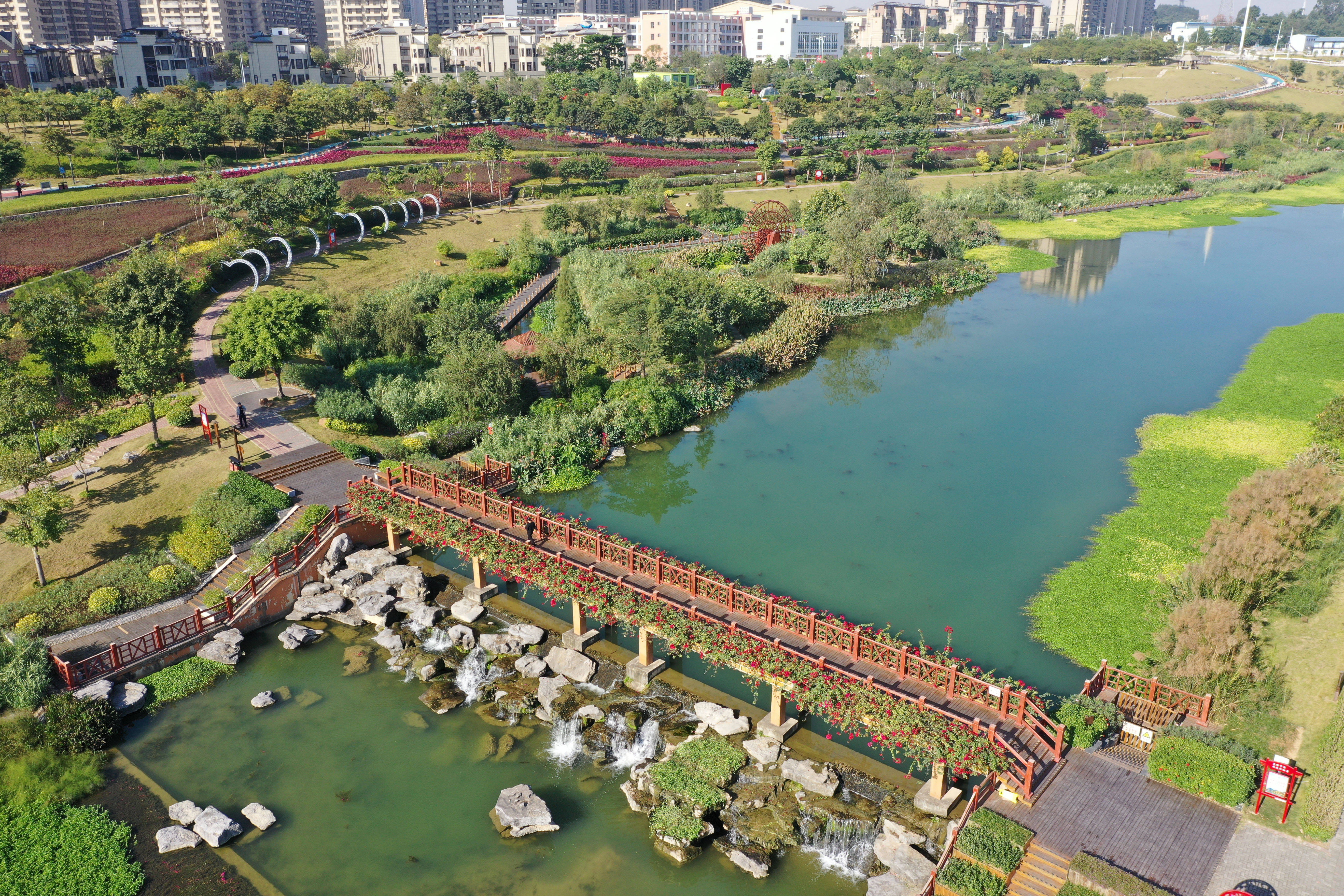 新华社记者 陆波岸 摄初冬时节,广西南宁市那考河湿地公园流水潺潺