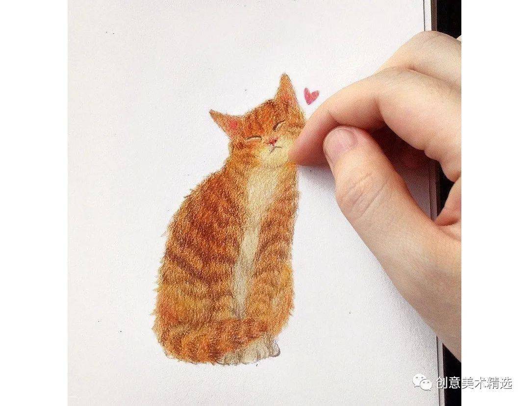 彩铅插画——小橘猫的幸福生活