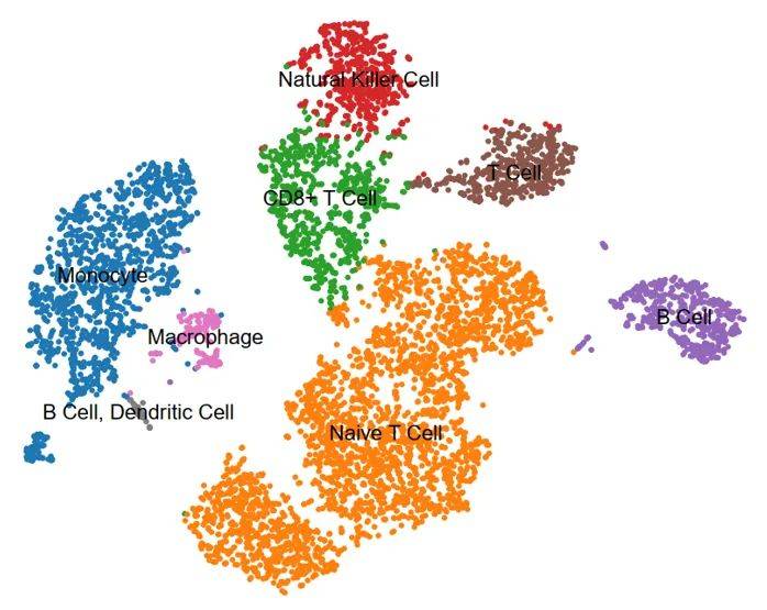 语言|掌握单细胞测序生信分析，用 R 语言挖掘数据发高分文章！