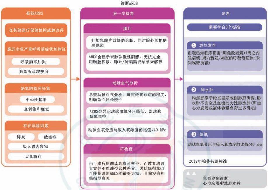 患者|相关知识 | 急性呼吸窘迫综合征（ARDS）：图文详解