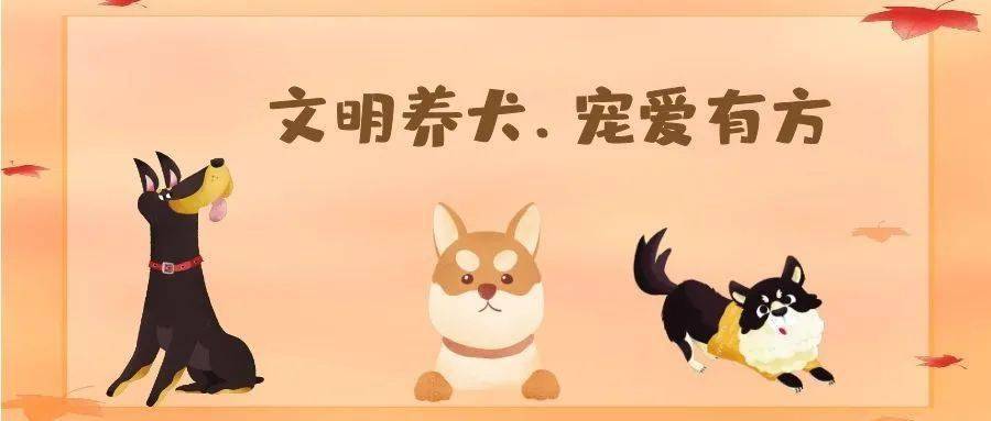 文明养犬宠爱有方