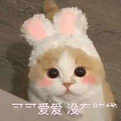 
东华大学学生会｜综合素质部—来不及解释了 快上车“亚搏体育app官网入口”(图2)