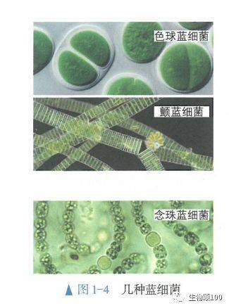 人新版生物必修一第二章13节电子书和67教材问题答