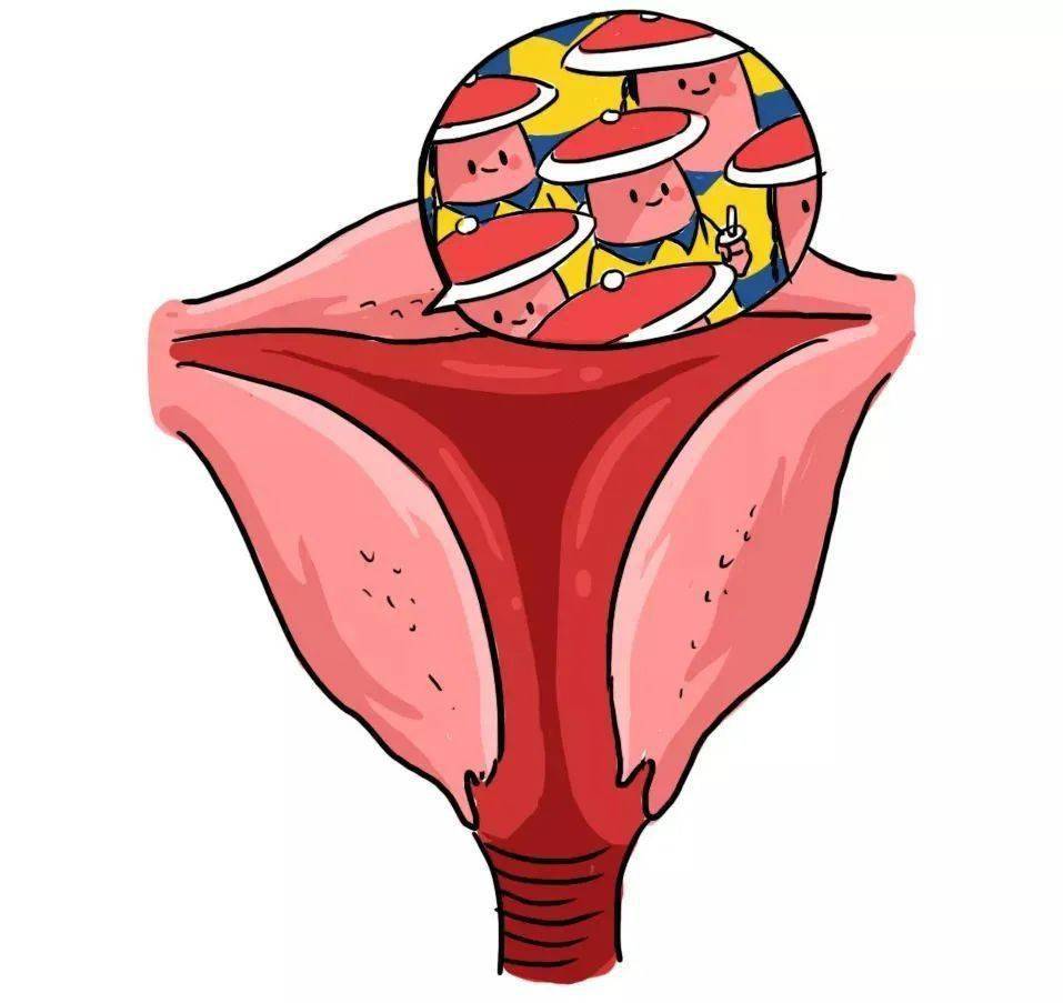 20% 的女性中招,这种长在子宫上的瘤,是什么原因?