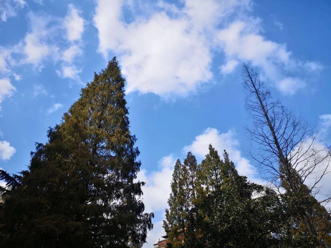 @罗店人，下周天气大变！新一波冷空气安排上了，雨水也光顾...