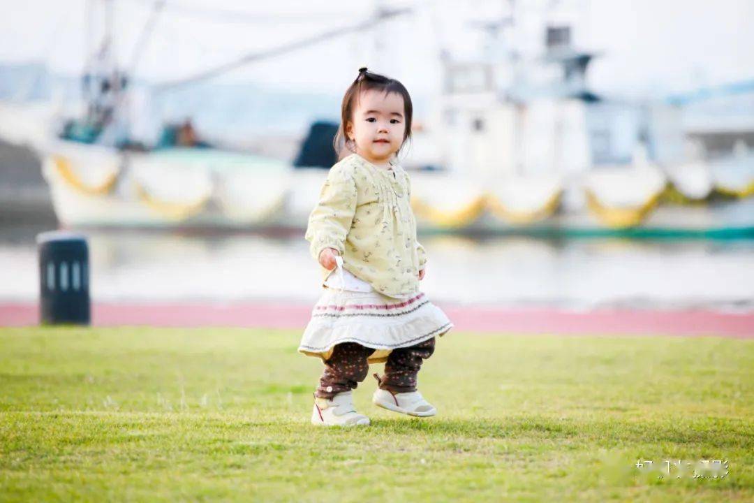 特点|详解5个焦段的24个特点,找到满意定焦头