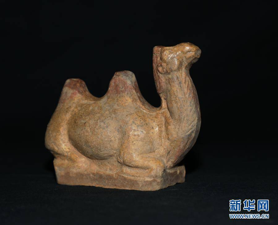 颜真卿|陕西发现首例考古发掘出土颜真卿书丹墓志铭