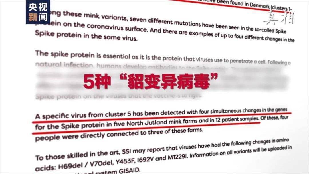 sk5厦门病毒是什么病毒新闻是真的吗（厦门开学时间）