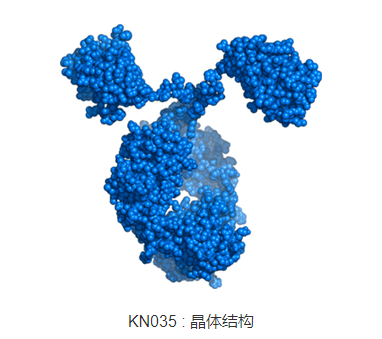 全球首个皮下注射pdl1抗体恩沃利单抗注射液kn035提交中国新药上市
