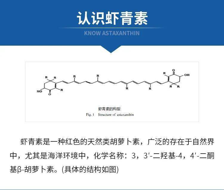 【双十一大促全场五折】天然虾青素原液:增强抗氧化性,提高应激能力!