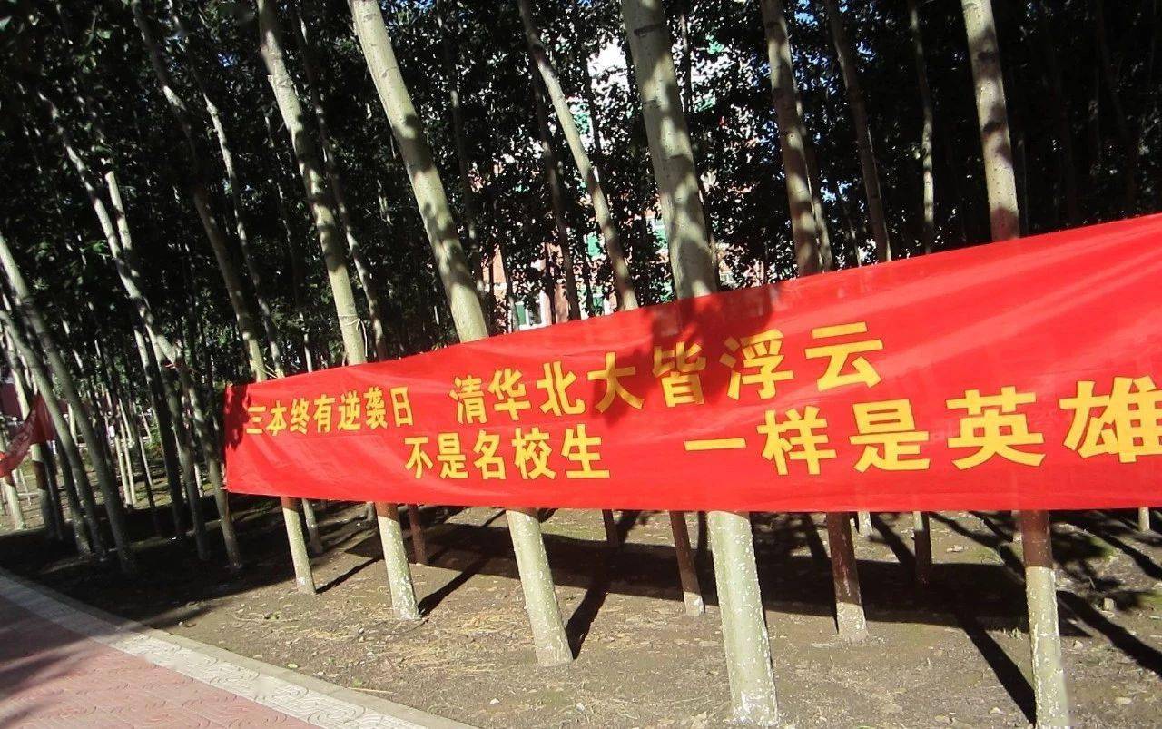 独立学院|正在逐渐“消失”2所高校被撤销！一批中国大学