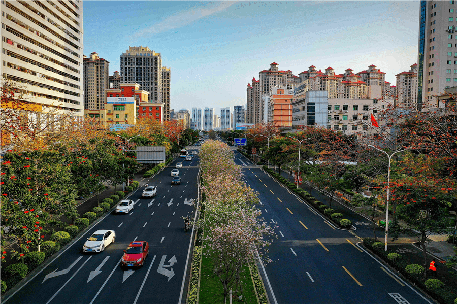 福安城区人口_福建四大美女都在福安,哪一个是你的最爱(2)