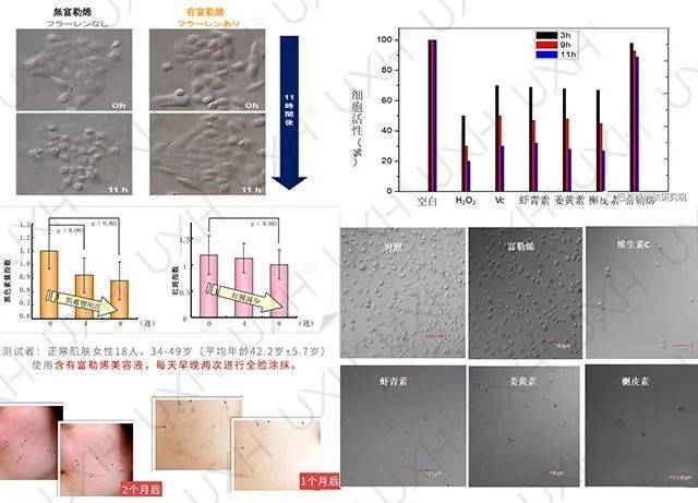 情敌|亚洲第一“鲜肉收割机”， 53岁生图曝光，成三亿女人情敌：这是什么人间尤物…