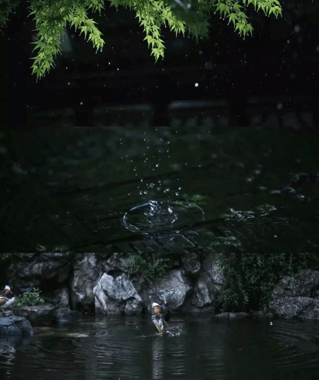 如兰音频音乐欣赏半山听雨