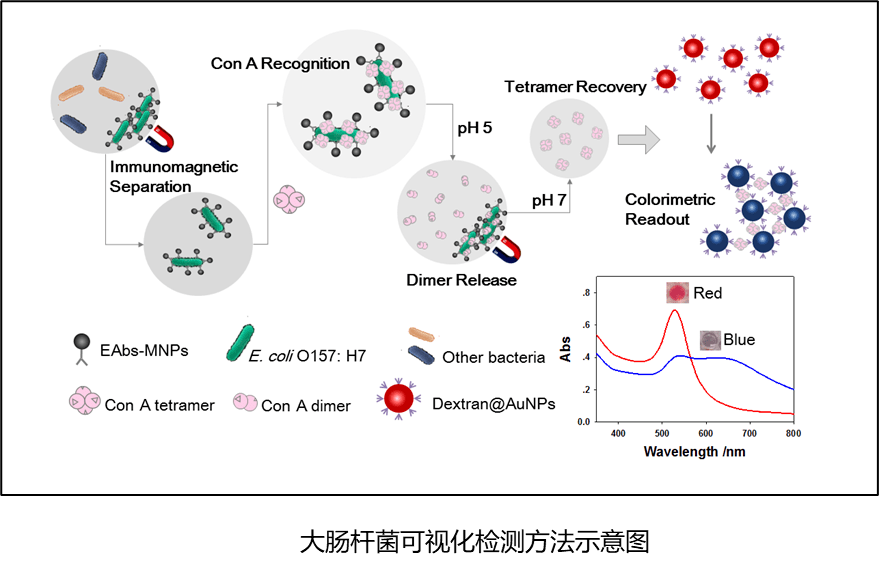 什么危不惧成语_成语故事图片(2)