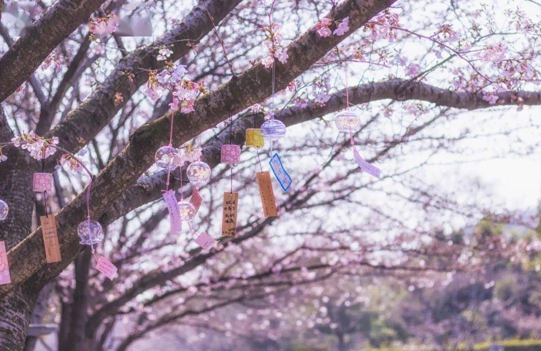 下颌关节炎怎么办