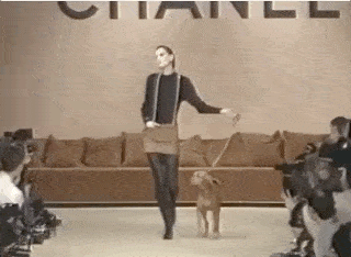 化身|卍物志┃26岁被老佛爷捧为香奈儿化身，如今63岁依然是法式优雅的代名词