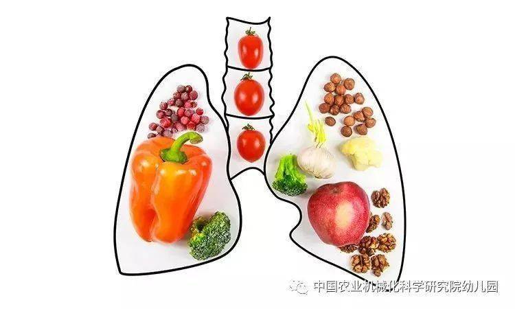 哪些食物可以润肺排毒 66a9ad4f57a04991bf9b3ebe01e5ad3c.jpeg