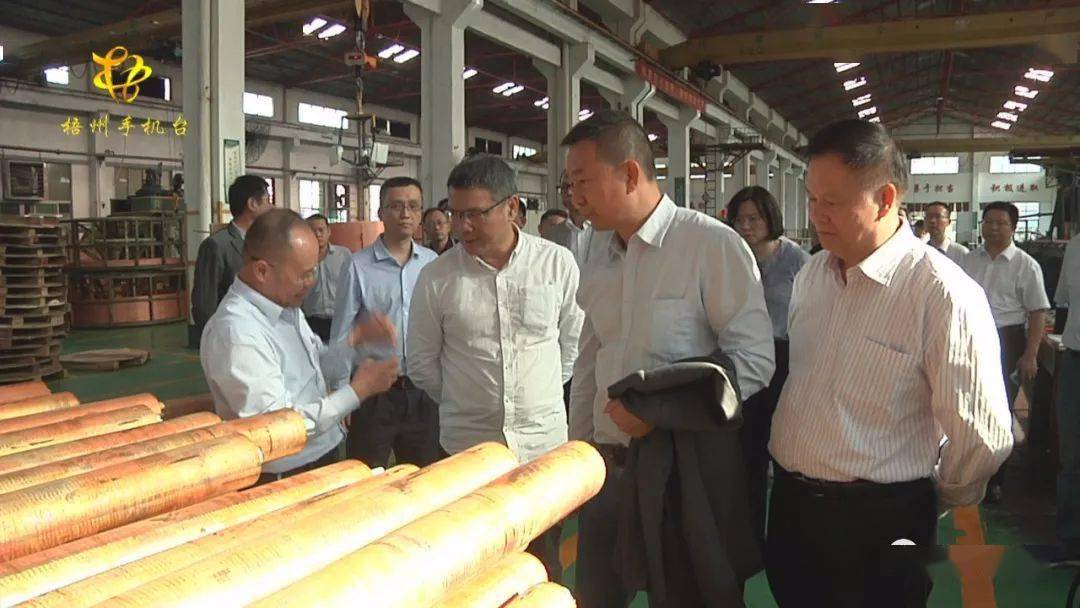 梧州今年总量经济_梧州的经济变化图