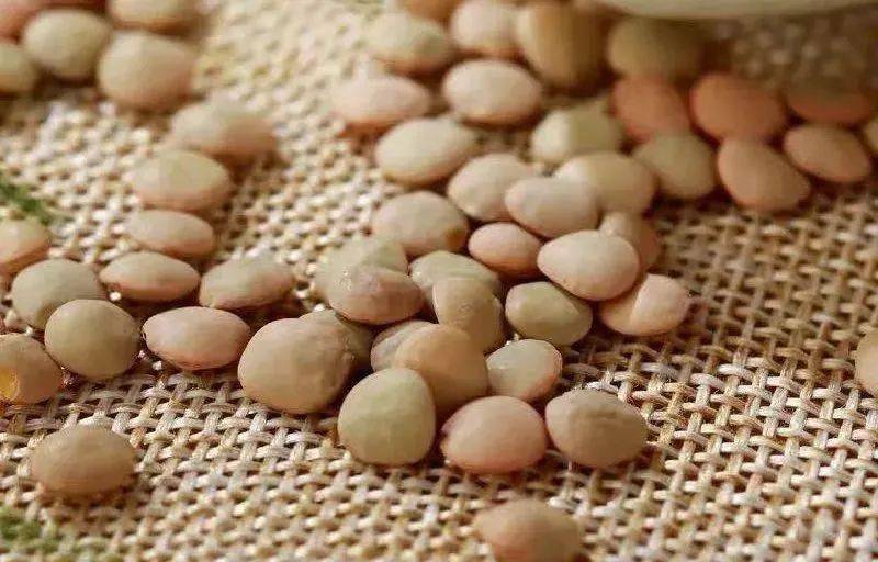 做法:将粳米100克,莲子,干扁豆各50克,洗净放入锅中,煮至熟烂即可.