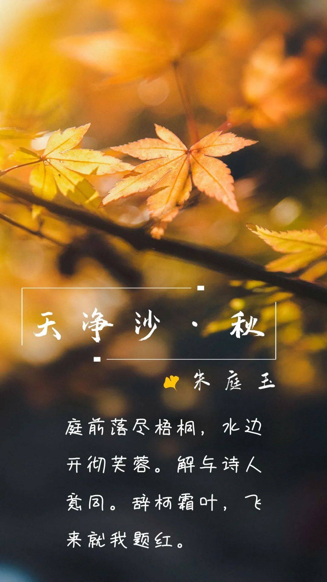 为你读诗【96】| 《天净沙·秋》朱庭玉