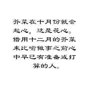 15f05b6ee360434593dac816198e0fea.jpeg