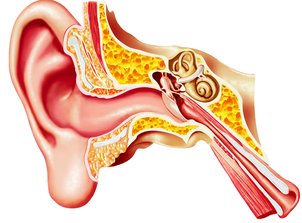 慢性中耳炎反复发作怎么办