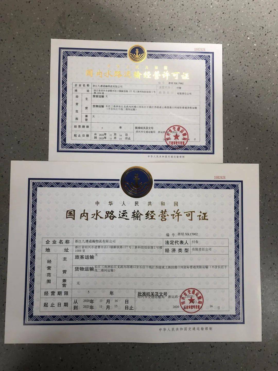 该公司在办理国内水路运输业务经营许可手续时,船舶所有权登记证书