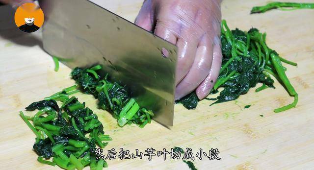 什么品种的红薯叶子好吃 bb3f97b81bed42b194e20632a0e7b2ec.jpeg