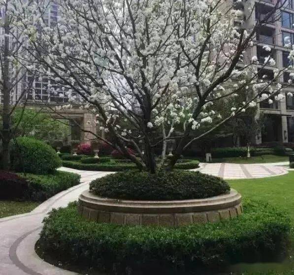 汶上白石镇gdp_汶上白石镇花岗岩磨砂