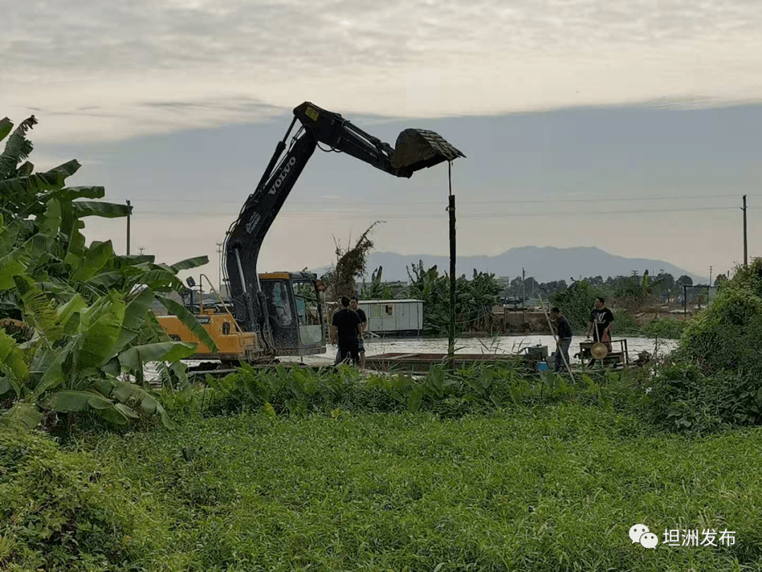 坦洲镇经济gdp_经济图片(2)