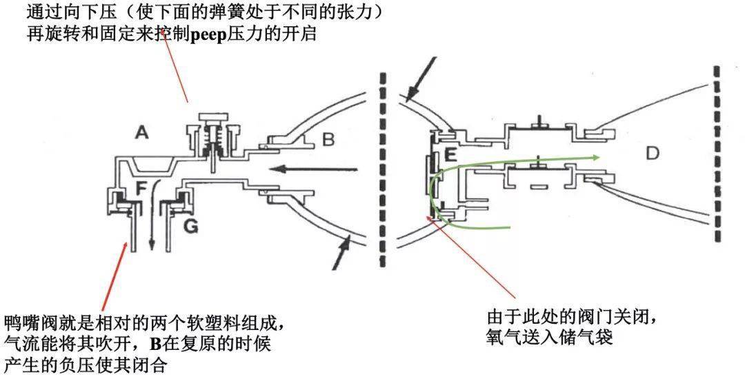 dc998ace379f4c2594e380d5228ae69e.jpeg