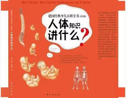 《德国经典少儿百科全书（彩绘版）》打开孩子的眼睛-乐鱼电竞(图4)