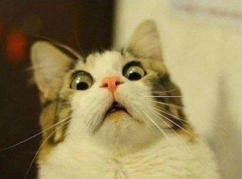 29faade80eaa49aca0d2488a3e94ad5a.jpeg