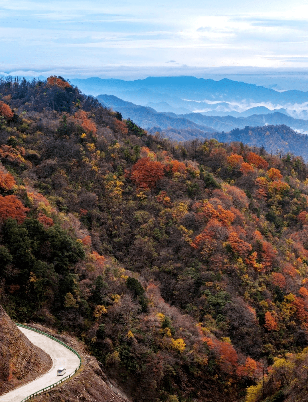 太子岭,是留坝县内海拔最高的一段山路 这里的红叶,总比其他的地方