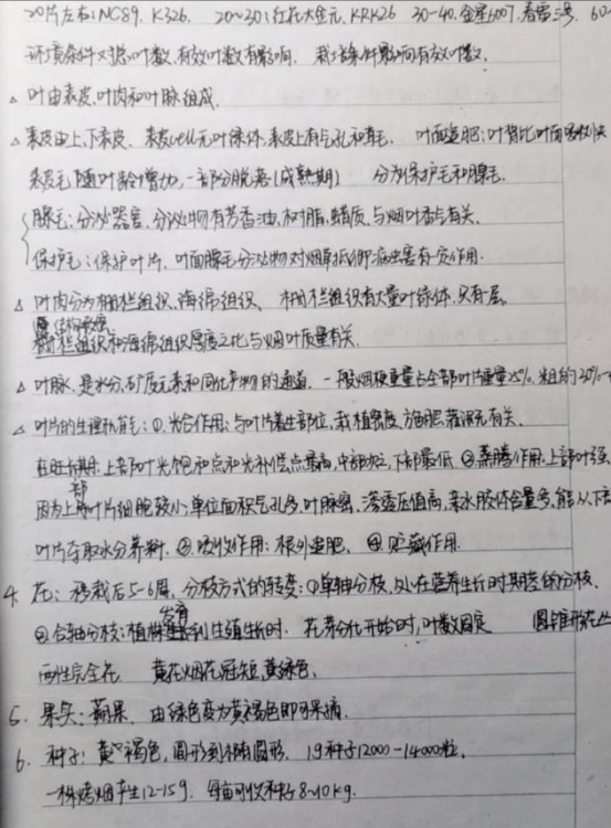 80a5169ea93045a2a348977169f653ce.png