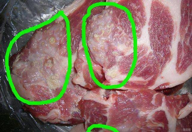 一样是猪肉,"公猪肉"和"母猪肉"如何区别?弄懂后你还会买错