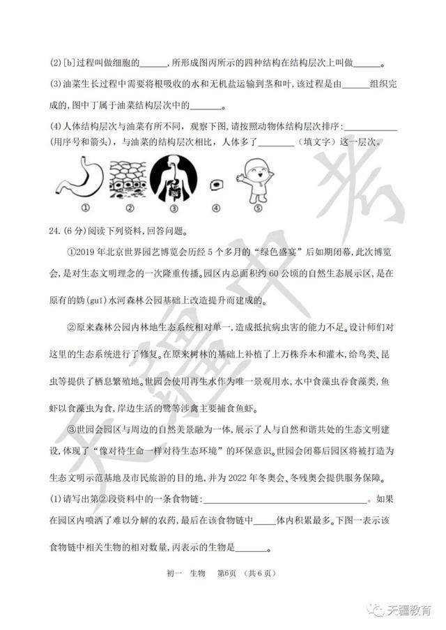 于天疆|2020-2021学年省实验中学七年级上册期中试卷