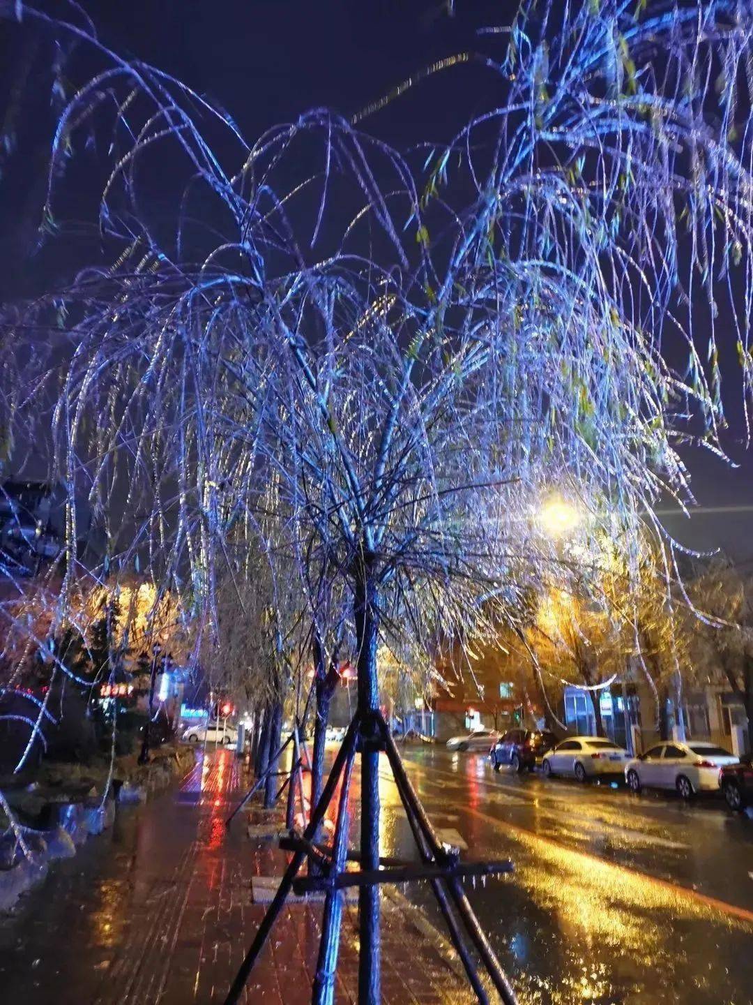 11月17日中午前后开始,吉林省出现雨雪天气,其中白城为雨夹雪或雪