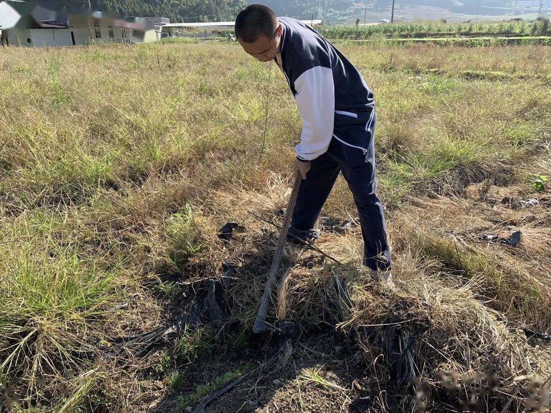 社会实践田间劳作幸福体验三明特校听障高二高三开展社会实践活动