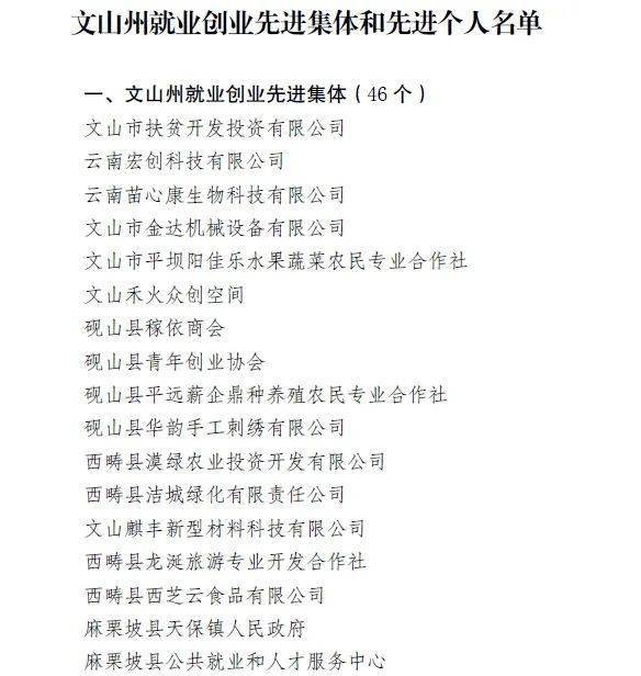 这些优秀民营企业等集体和个人受表彰他们是